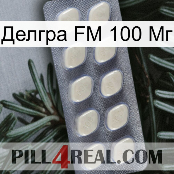 Делгра FM 100 Мг 08.jpg